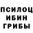 Галлюциногенные грибы прущие грибы Petrenko Vlad