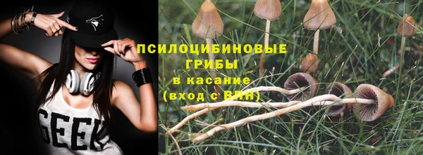 ПСИЛОЦИБИНОВЫЕ ГРИБЫ Верхнеуральск