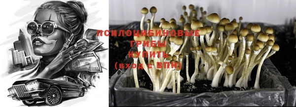 ALPHA-PVP Верея